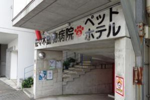 相模原市南区 佐々木動物病院