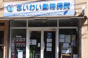 神奈川県川崎市幸区 さいわい動物病院