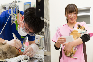 名古屋市守山区 もりやま犬と猫の病院