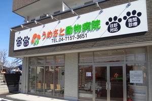 千葉県野田市 うめさと動物病院