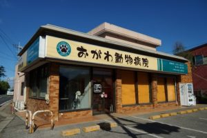 千葉県八街市 おがわ動物病院 動物看護師募集!新卒・未経験者歓迎