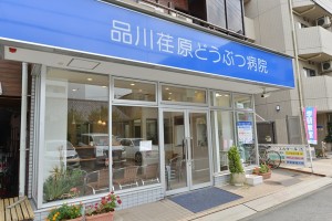 品川荏原どうぶつ病院 獣医師募集!