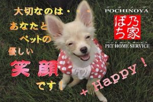 ぽち乃家ペットホームサービス**創業13年*人と動物が幸せに共生する社会を目指して!*