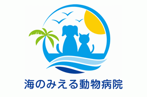 海のみえる動物病院 獣医師募集！長崎県松浦市