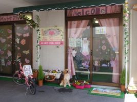 ペットケアサービス ハート 広島市南区南蟹屋