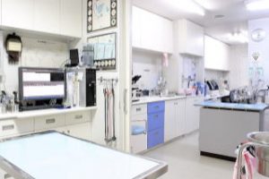 ブライト動物病院 獣医師募集 東京都目黒区