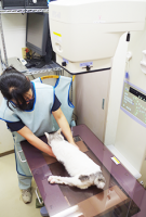 みずえ動物病院 動物看護士募集 東京都江戸川区