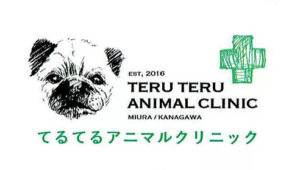 てるてるアニマルクリニック 動物看護師 トリマー 神奈川県三浦市