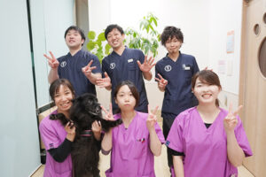 【動物看護師募集！】神奈川どうぶつ救命救急センター