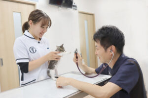 【27新卒/獣医師】採用エントリー受付開始しました！