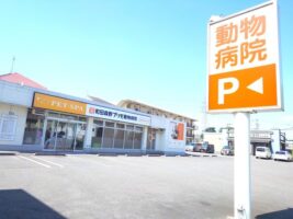 獣医師募集！町田森野プリモ動物病院