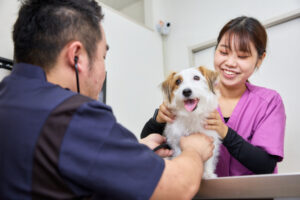 【27新卒/愛玩動物看護師】採用エントリー受付開始しました！
